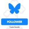 Compra Follower Bluesky