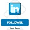 Compra Follower LinkedIn