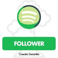 Compra Follower Spotify