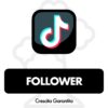 Compra Follower Tik Tok